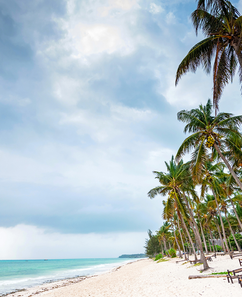 Visit Zanzibar Island